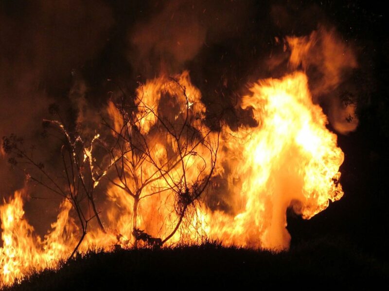 Lucha contra incendios forestales en Latinoamérica