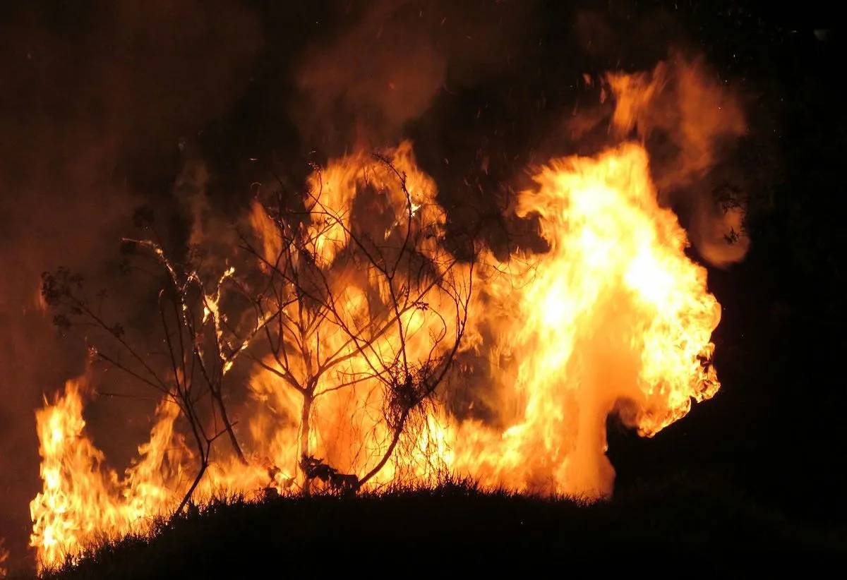 Lucha contra incendios forestales en Latinoamérica