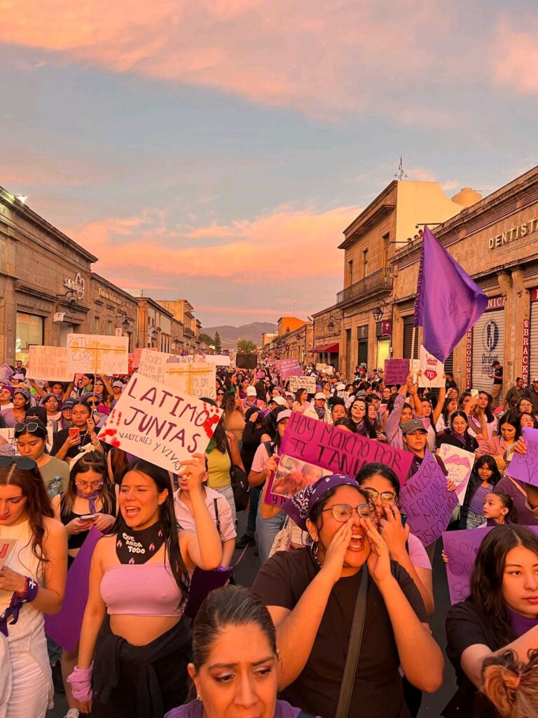 Lucha feminista en Michoacán madero contingente