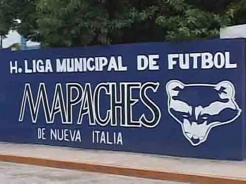 mapaches de nueva italia futbol michoacán