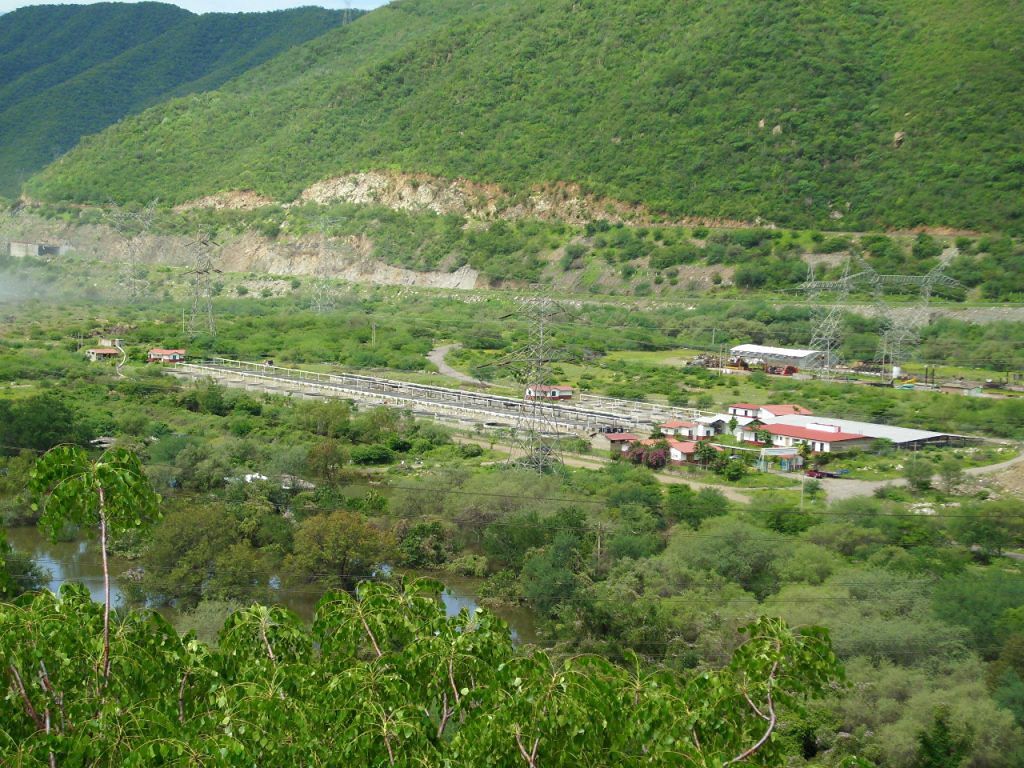 Producción piscícola criadero