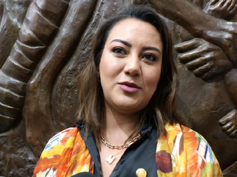 Mínica Valdez solicitó licencia en Congreso