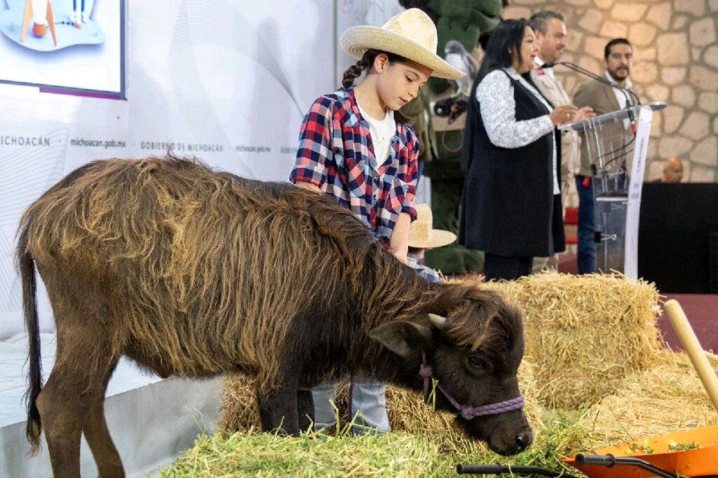 Niños y niñas podrán convivir con animales en el Zoológico de Morelia