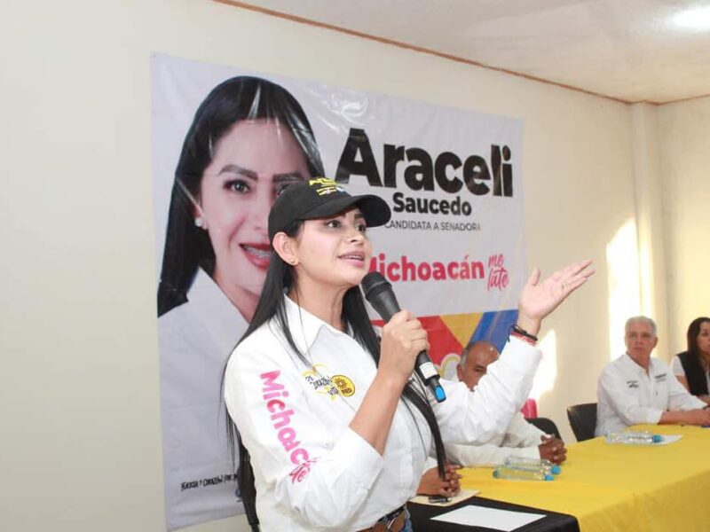 Reconocer los derechos de la tierra Araceli Saucedo