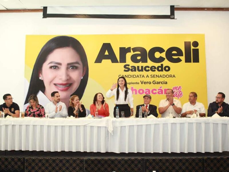 salud en Michoacán araceli saucedo