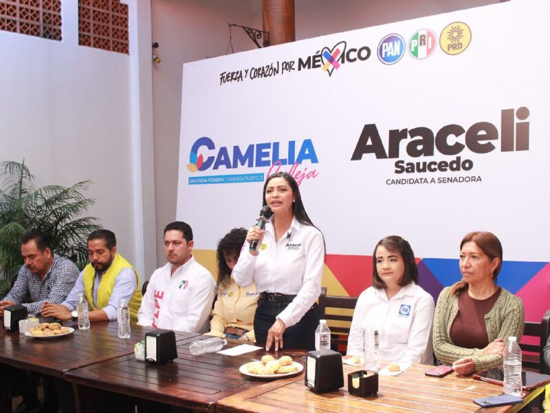 seguridad producción michoacán araceli saucedo