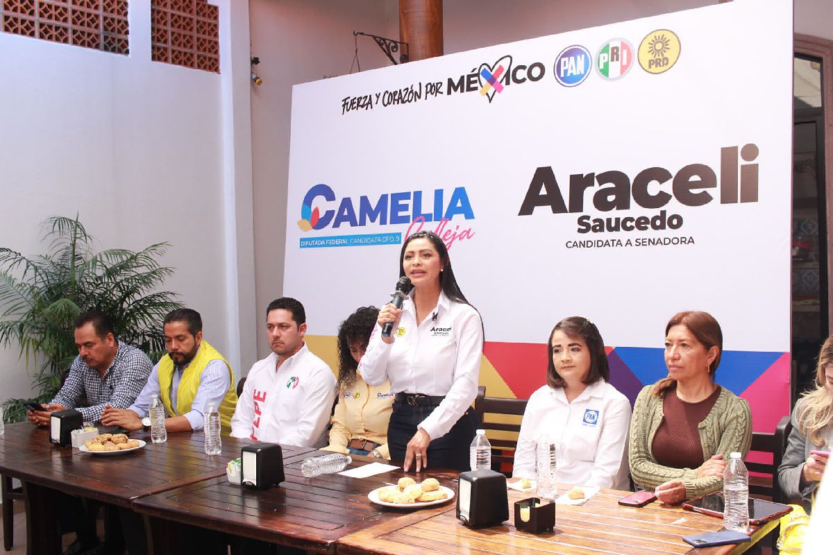 seguridad producción michoacán araceli saucedo