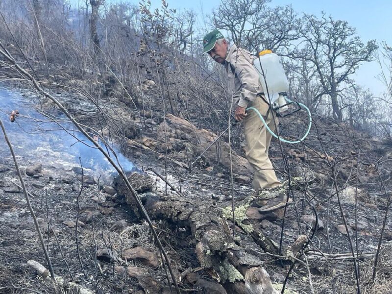 Siguen incendios forestales en Michoacán