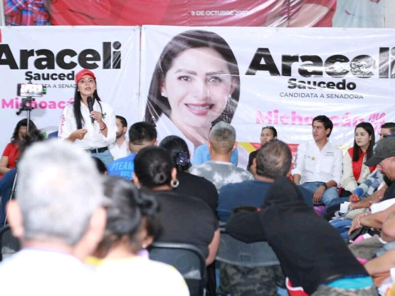 Sistema Nacional Anticorrupción -Araceli Saucedo