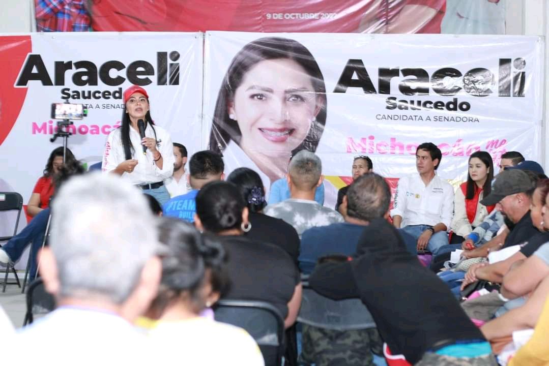 Sistema Nacional Anticorrupción -Araceli Saucedo