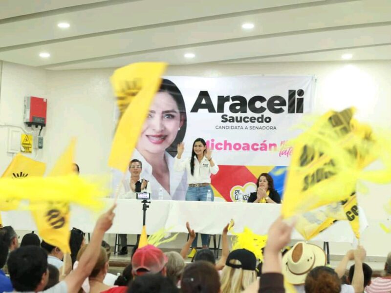 Vamos por el desarrollo regional: Araceli Saucedo