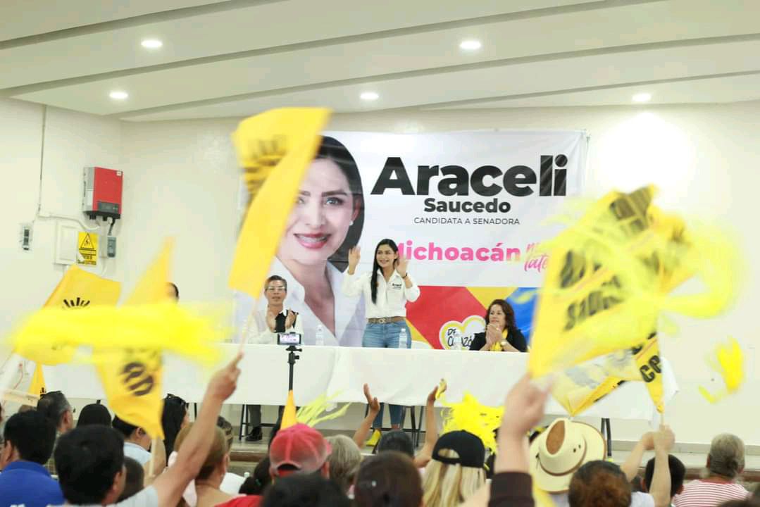 Vamos por el desarrollo regional: Araceli Saucedo