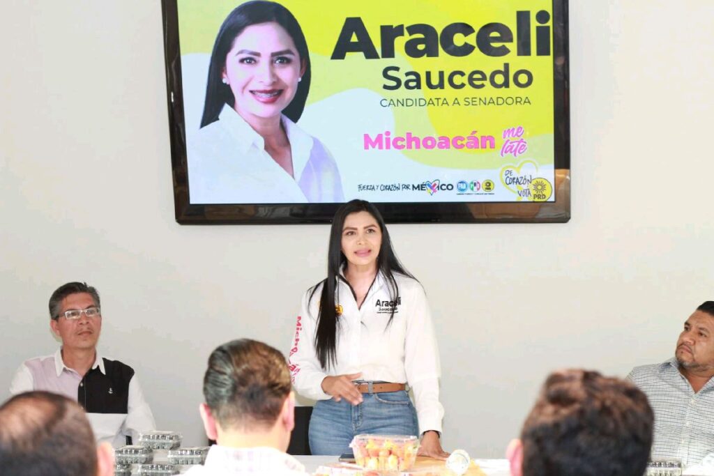 Vamos por el desarrollo regional de Michoacán: Araceli Saucedo