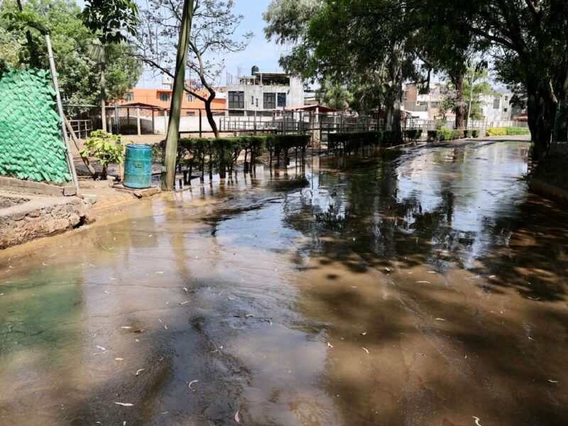 Inundación con aguas tóxicas amenaza fauna en Zoológico de Morelia