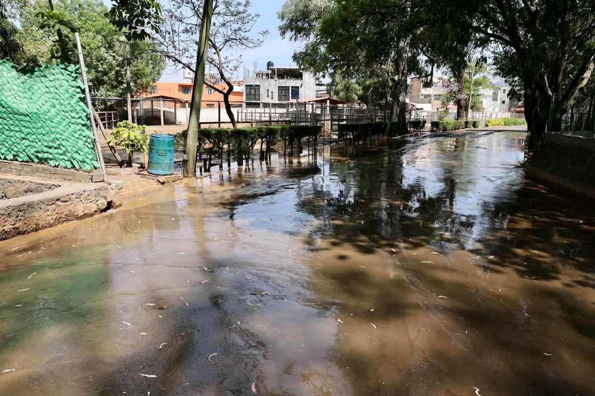 alertan contaminación en Zoo de Morelia que amenza fauna del parque