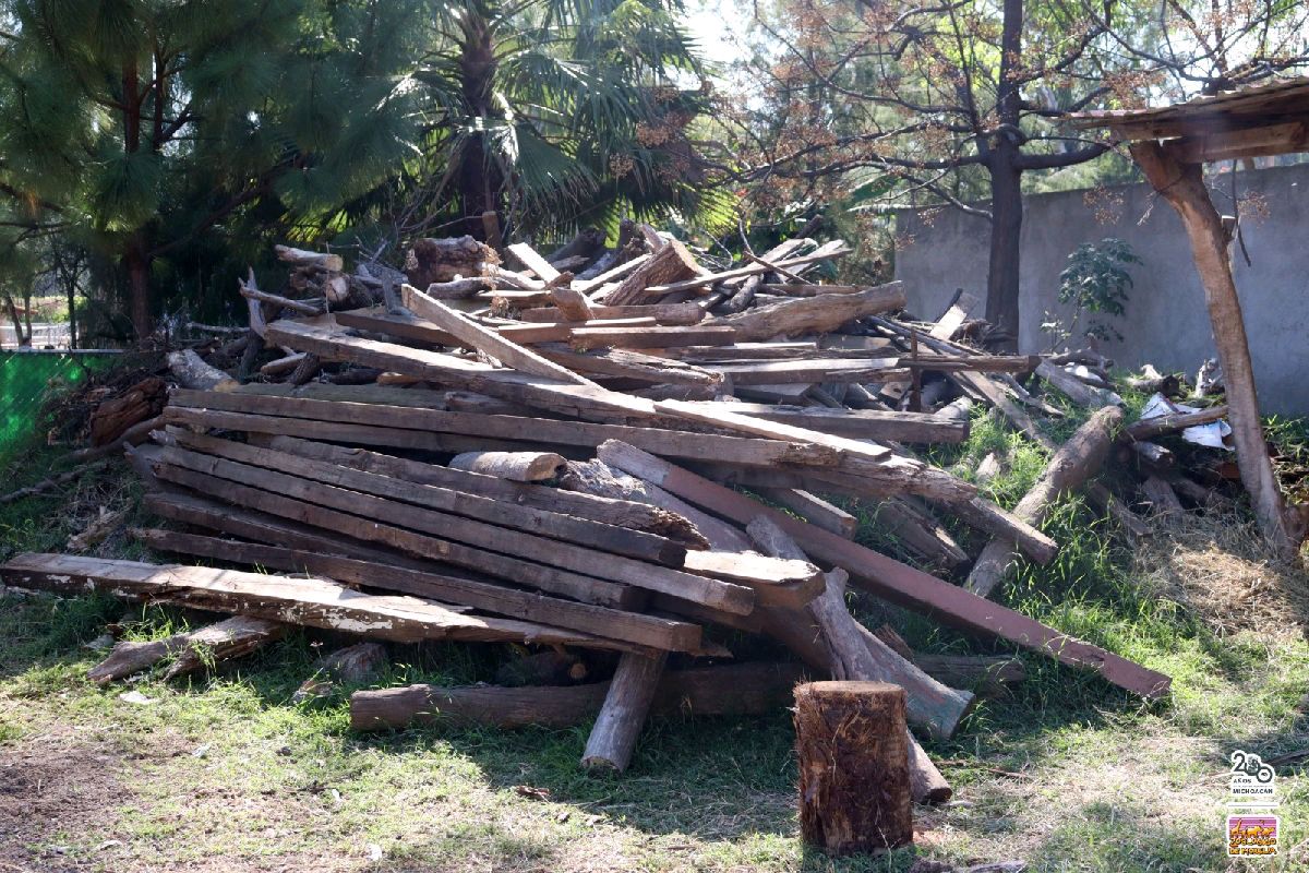 Autoridades del Zoológico de Morelia reiterán compromiso ecológico