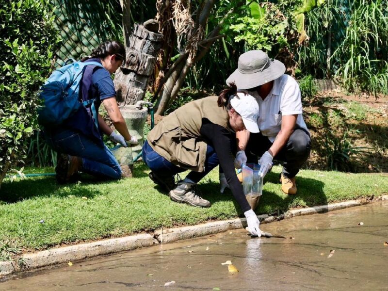 avalúan nivel de contaminación de aguas en el Zoológico de Morelia