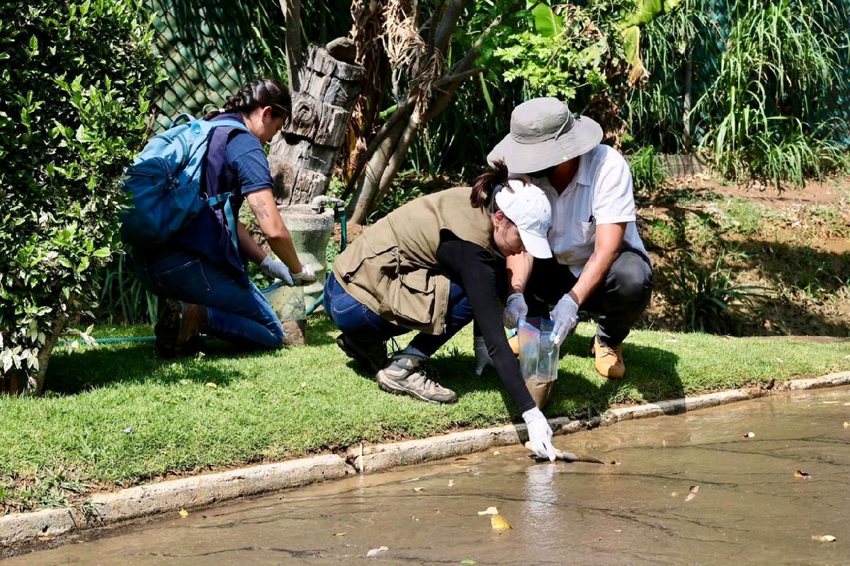 avalúan nivel de contaminación de aguas en el Zoológico de Morelia