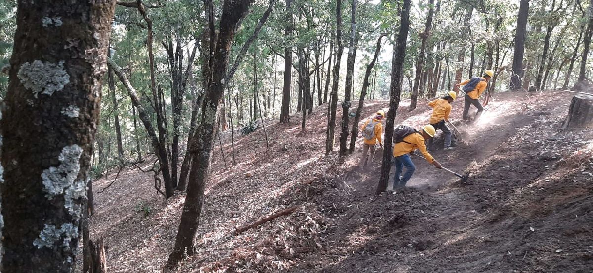Bigradistas atienden incendios forestales en Coalcomán y Erongarícuaro en Michoacán