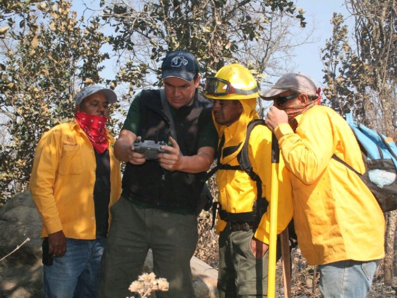 brigadas usan dorenes para combatir denuncias de incendios forestales