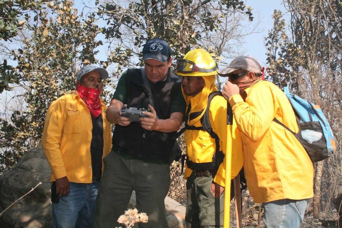 brigadas usan dorenes para combatir denuncias de incendios forestales
