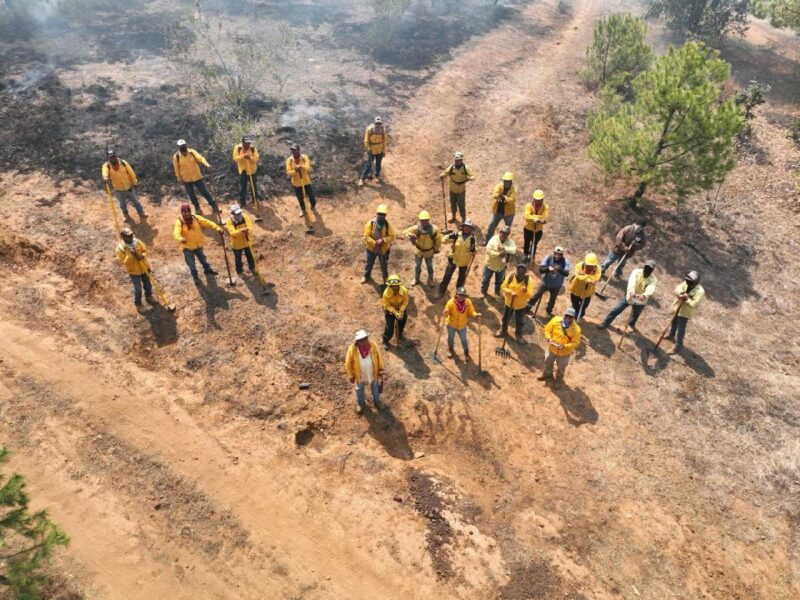 Con drones, Michoacán refuerza combate de incendios forestales