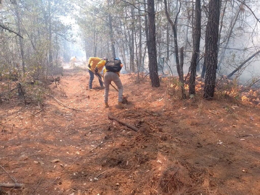 Contener incendios forestales en Michoacán - Brigadas