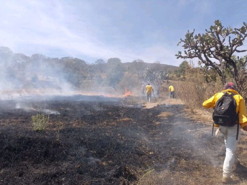 Contener incendios forestales en Michoacán