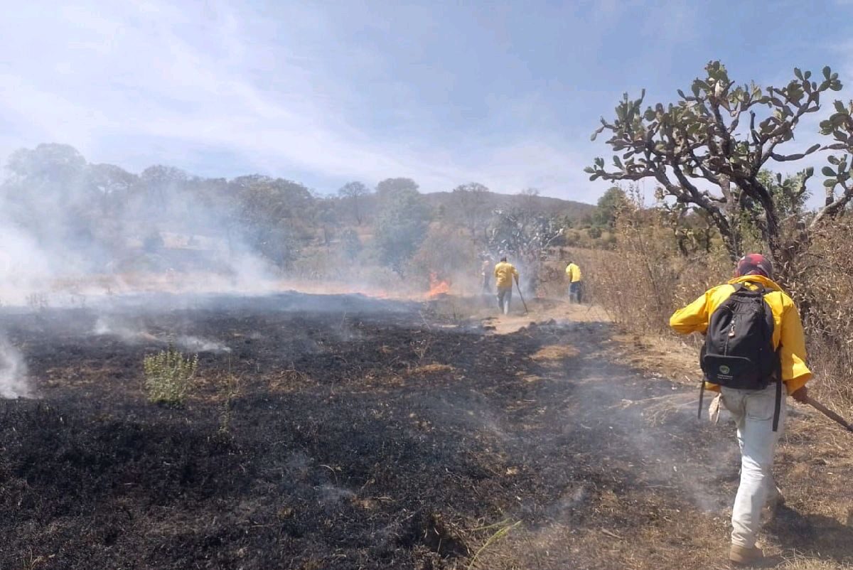 Contener incendios forestales en Michoacán