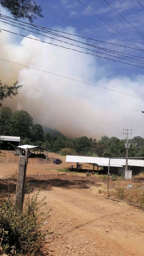 Contener incendios forestales en Michoacán - esfuerzos