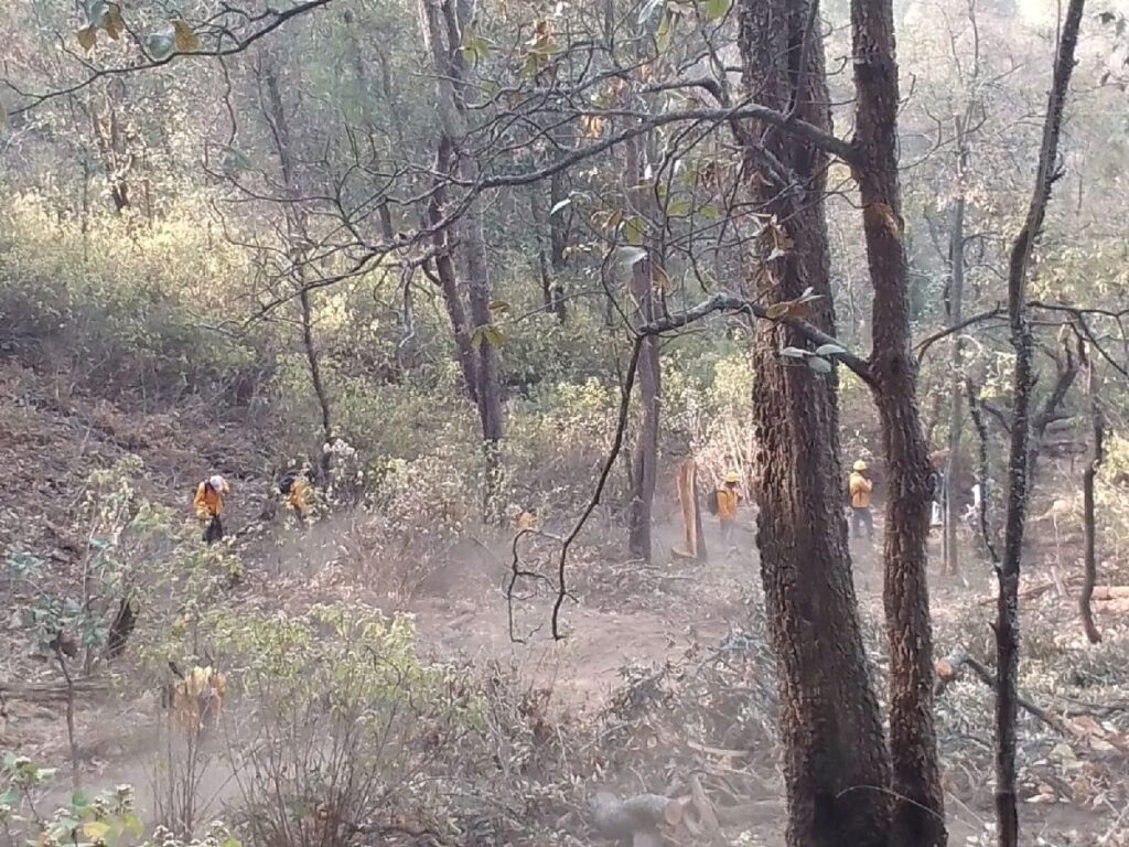 controlan incendios forestales en Michoacán