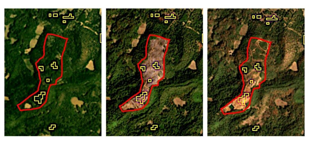 dan revisión a áreas afectadas por incendios forestales