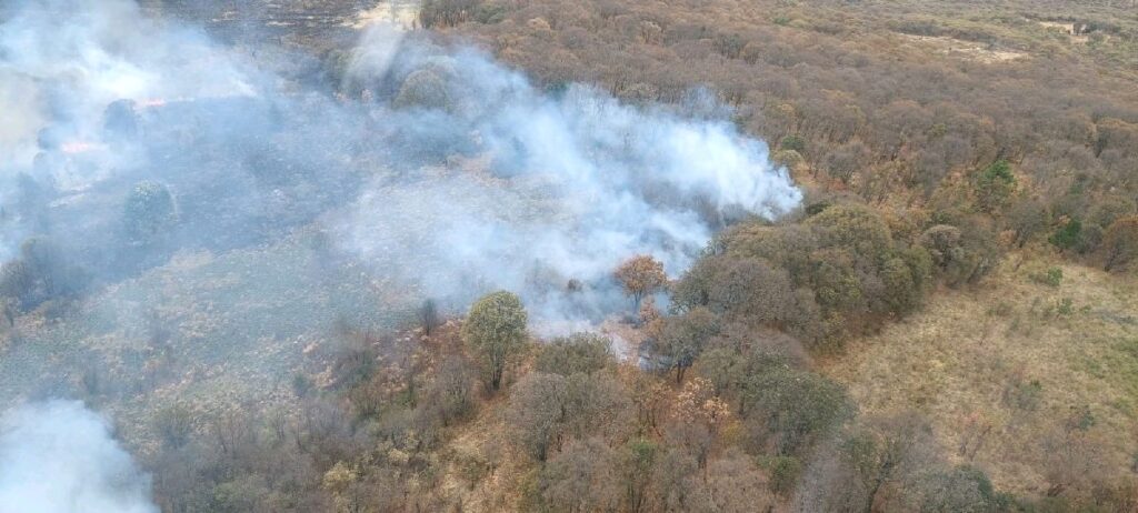 dañadas más de 4 mil hectáreas en Michoacán por incendios