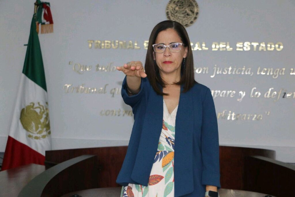 decisiones del TEEM Michoacán y acuerdos con el INE - María Fernanda Ríos
