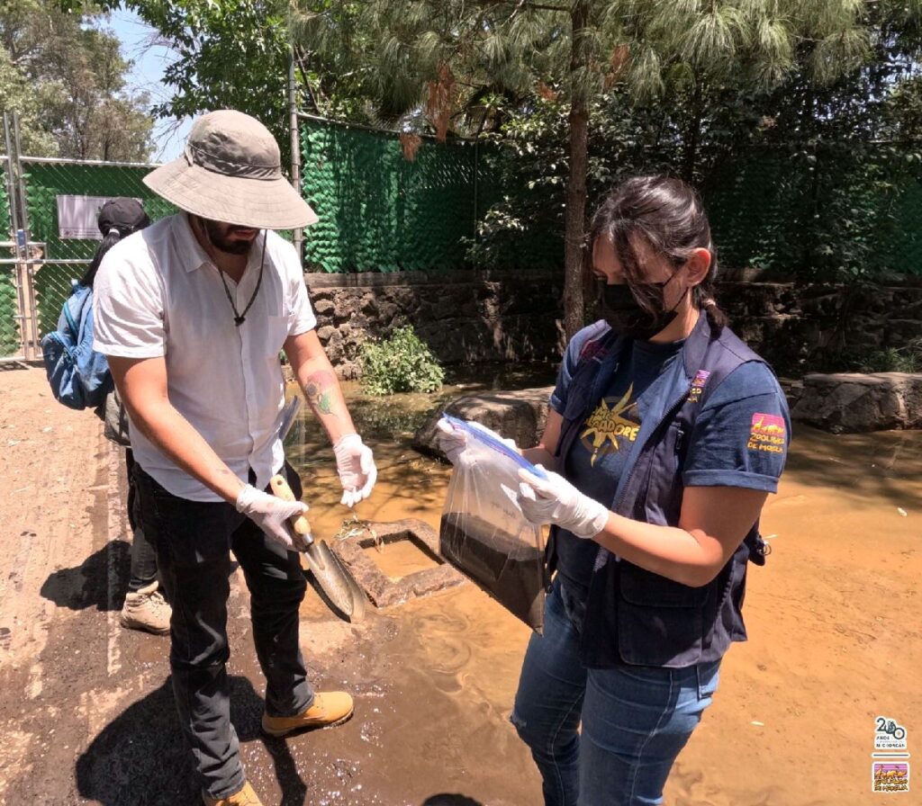 detectan hierro y azufre en inundaciones dentro del Zoológico