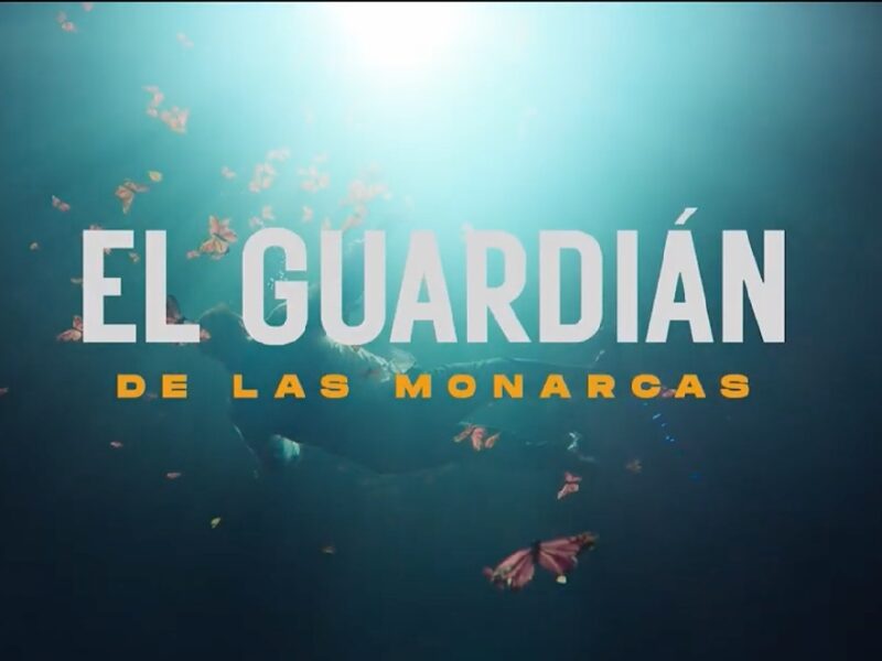 El Guardían de las mariposas Monarcas en Netflix