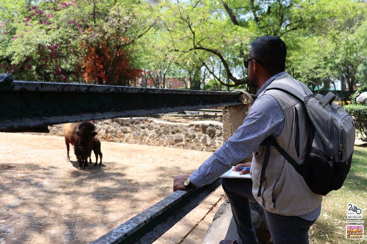 evaluan afectaciones en el Zoológico de Morelia