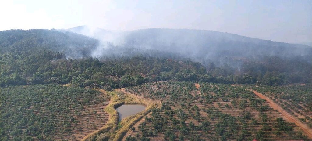 exitengen incendio forestal en Ario de Rosales