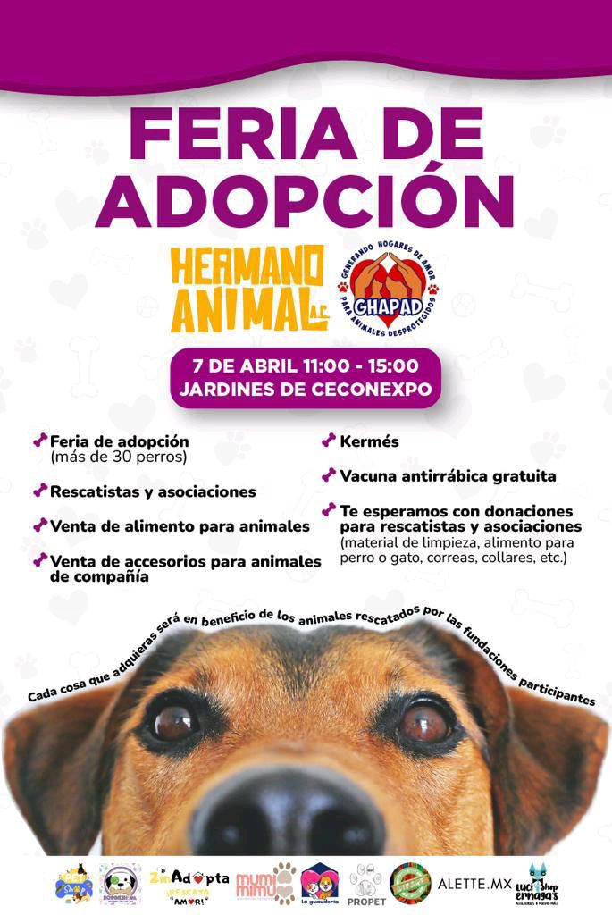 feria de adopcion ceconexpo mascotas 1