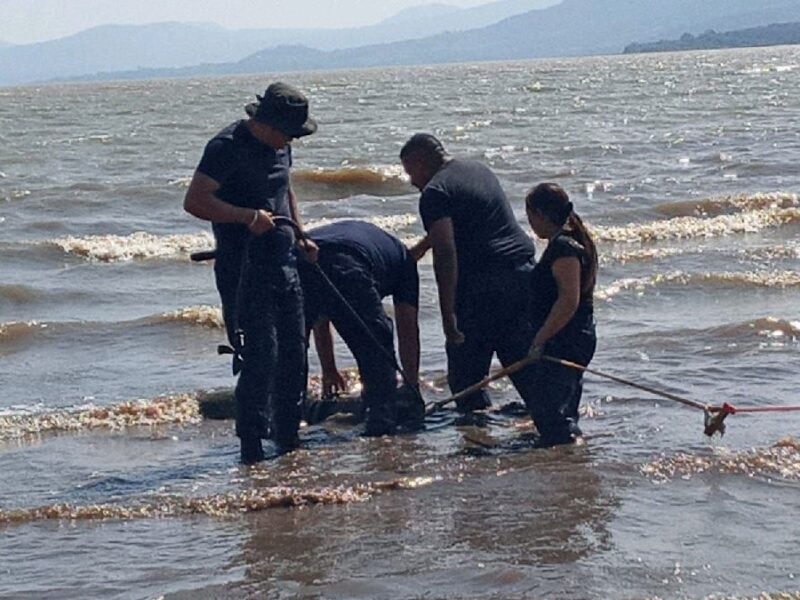 frenan acto de huachicoleo de agua en lago de pátzcuaro