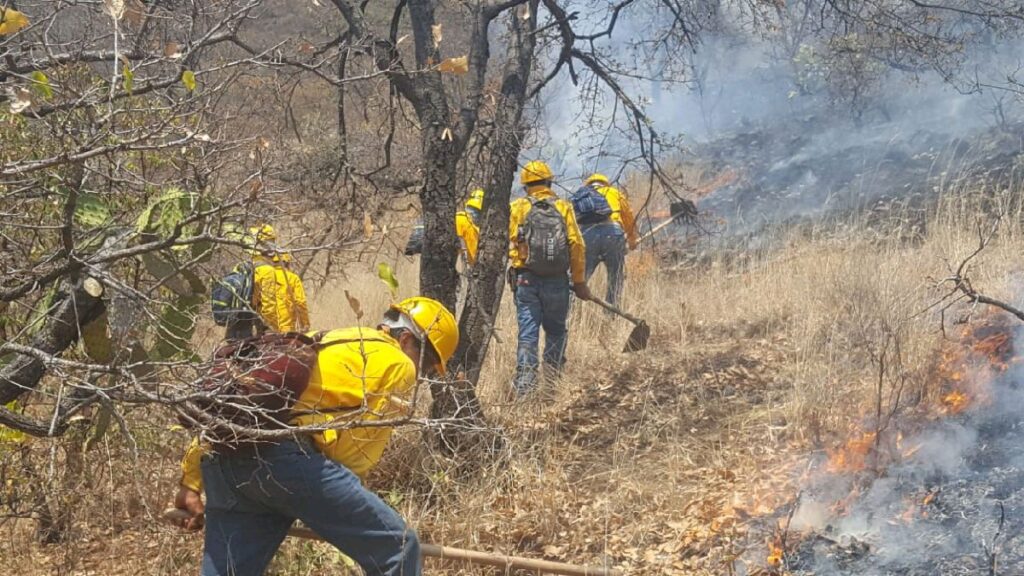 incendio forestal coalcomán operativo control 1