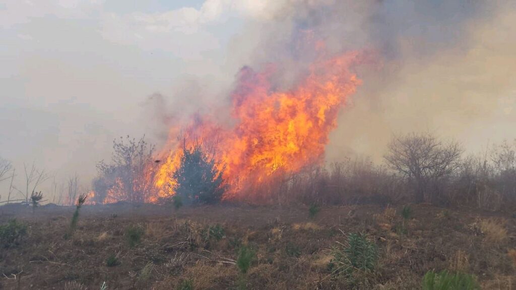 incendio forestal coalcomán operativo control 2