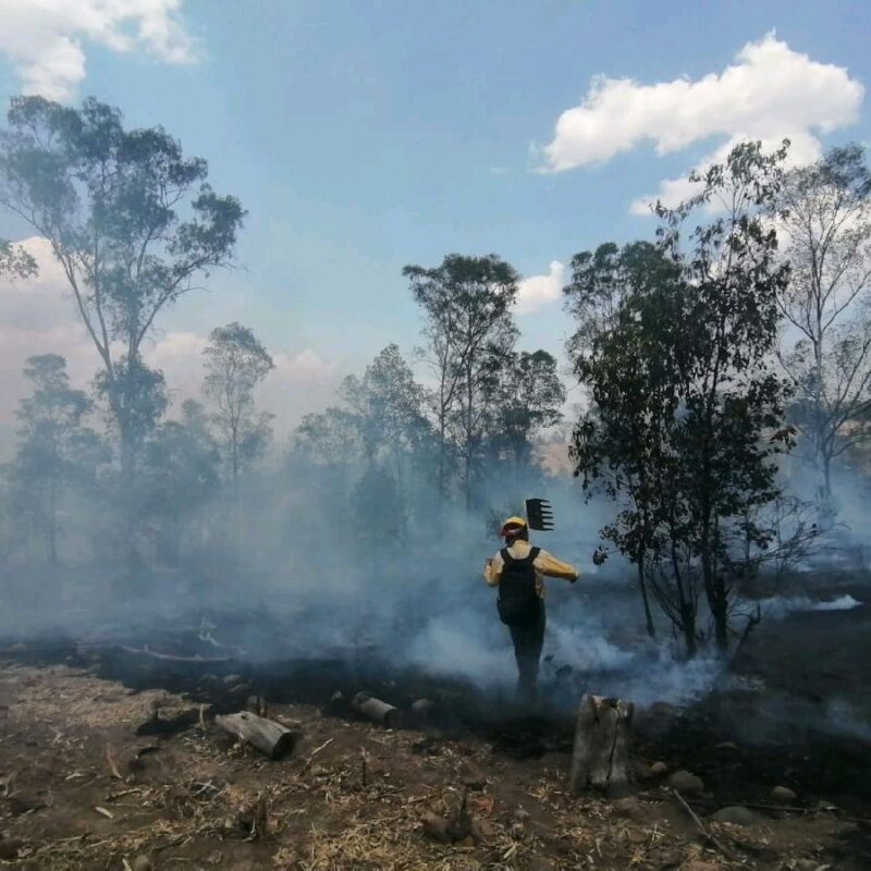 Controlado, incendio forestal en Coalcomán