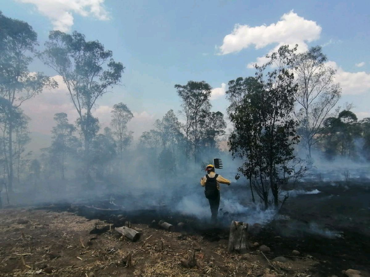 incendio forestal coalcomán operativo control