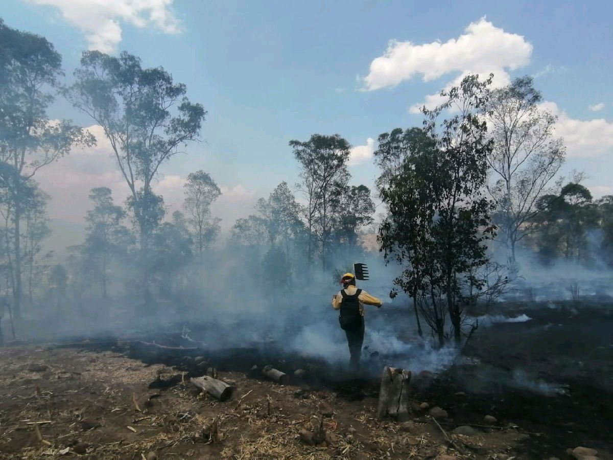 Controlado, incendio forestal en Coalcomán