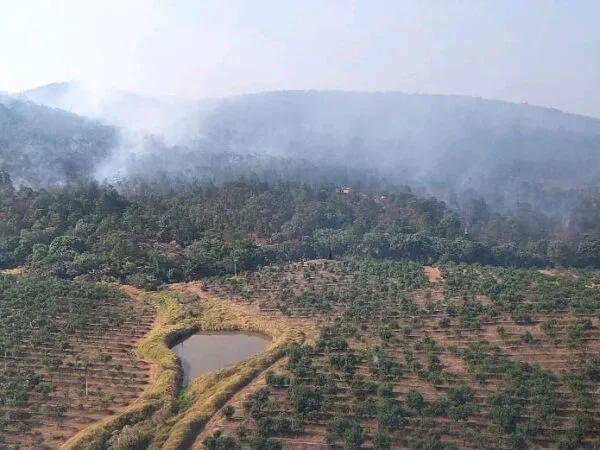 Operativos aéreos y terrestres mitigando incendio en Ario