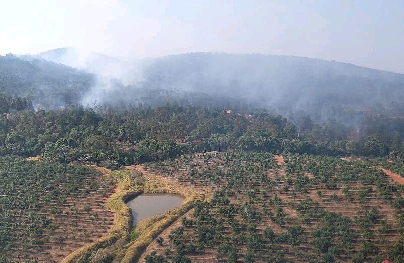 Incendio forestal en Ario de Rosales