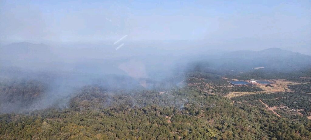 Incendio forestal en Ario de Rosales - brigadas