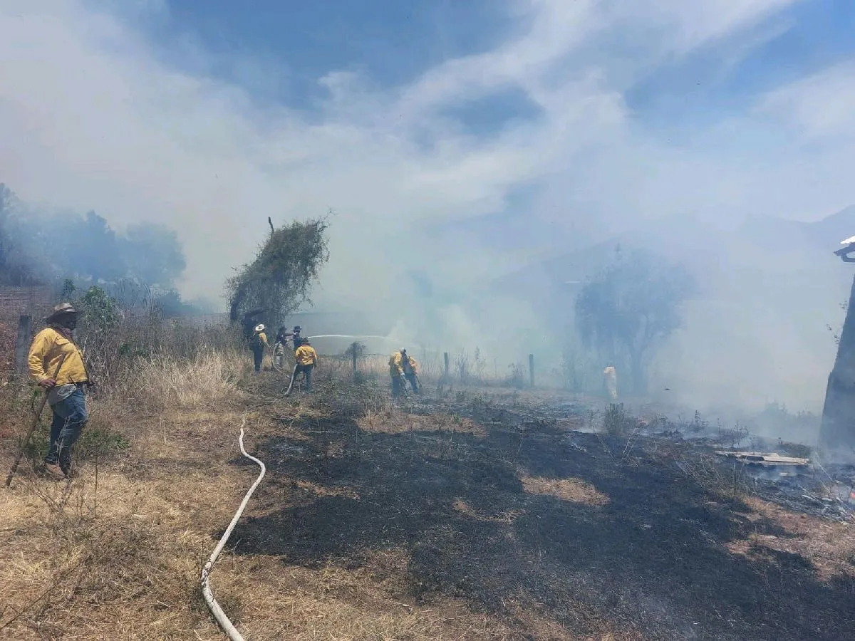 Extinguen incendio forestal en Madero y controlan fuego en Los Reyes y Ario