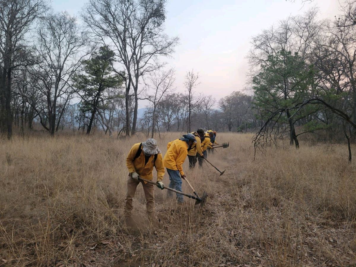 Extinguen siete incendios forestales en Michoacán